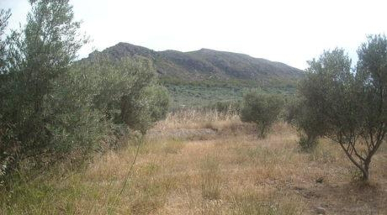 Murcia - Calasparra - 1129m2