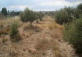 Terreny no urbanitzable en venda a la España, Calasparra, ref.: TR298337 foto