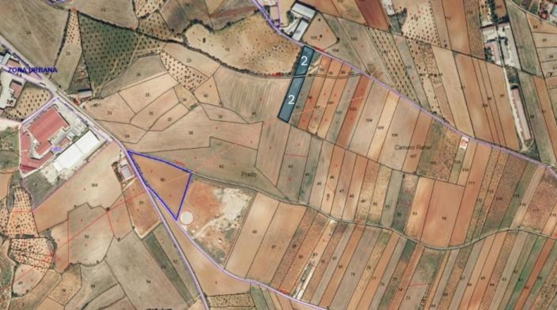 Cuenca - El Picazo - 4800m2