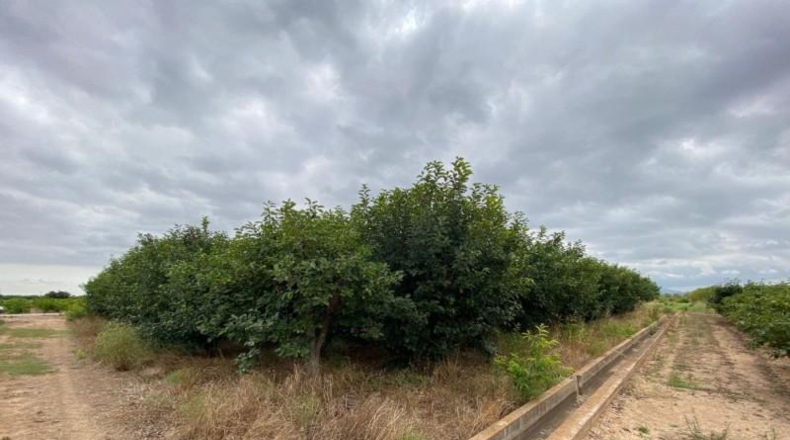 Badajoz - Valverde de Llerena - 3320m2