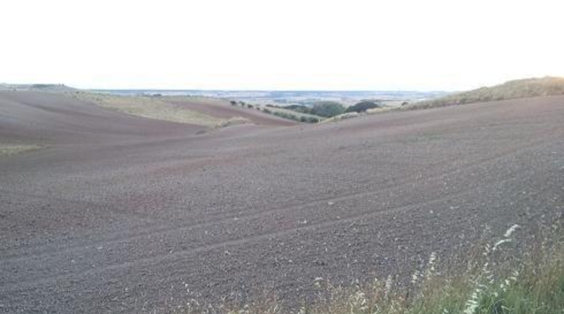 Guadalajara - Tórtola de Henares - 2162m2
