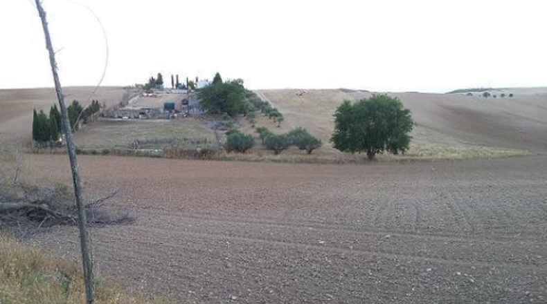 Guadalajara - Tórtola de Henares - 2162m2