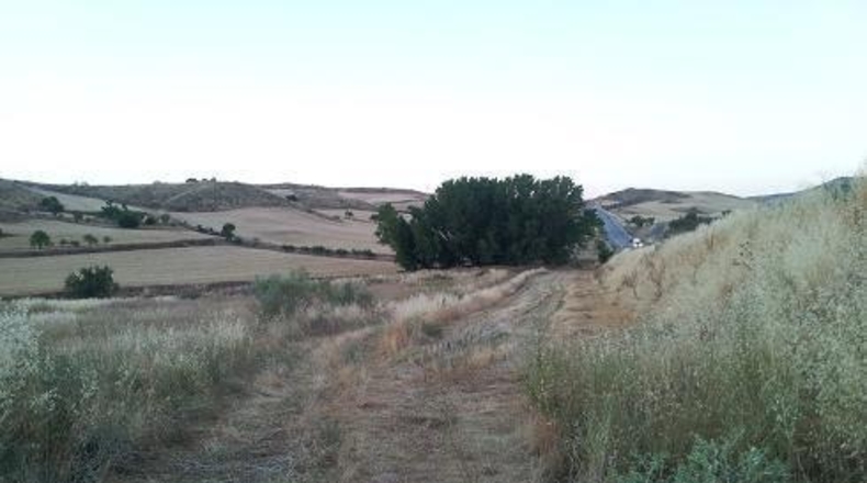 Guadalajara - Tórtola de Henares - 2162m2