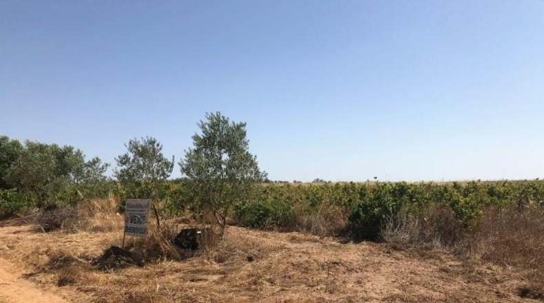 Huelva - Bollullos Par del Condado - 6287m2