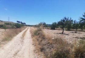 Foto 8