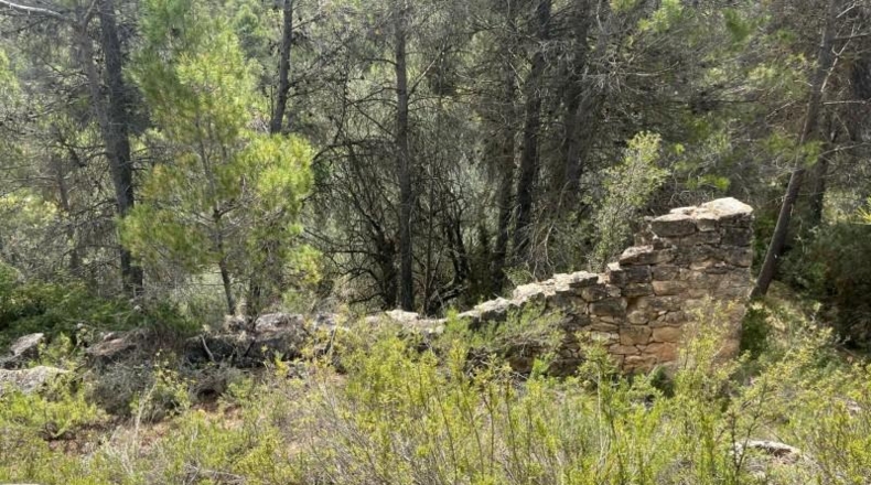 Teruel - Cretas - 9111m2