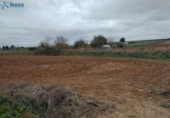 Land suitable for development for sale on España, Villalba de los Barros, ref: TR292330 photo