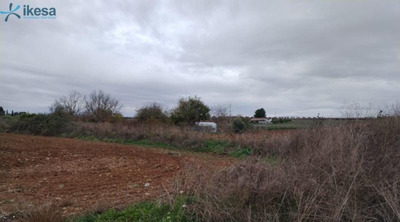 Badajoz - Villalba de los Barros - 10601m2
