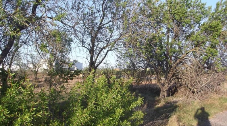 Castellón - la Vall d'Alba - 1812m2
