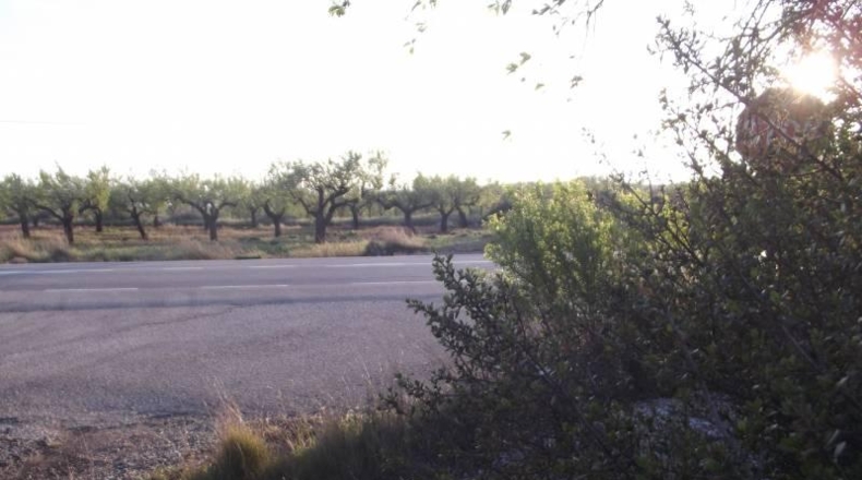 Castellón - la Vall d'Alba - 1812m2