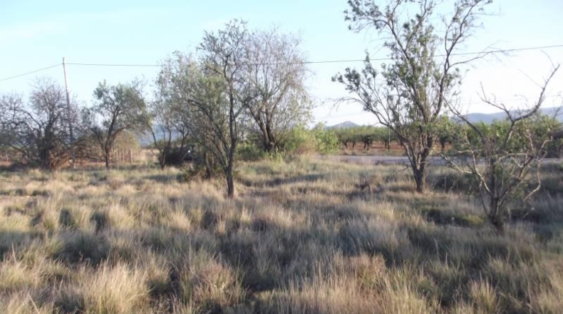 Castellón - la Vall d'Alba - 1812m2