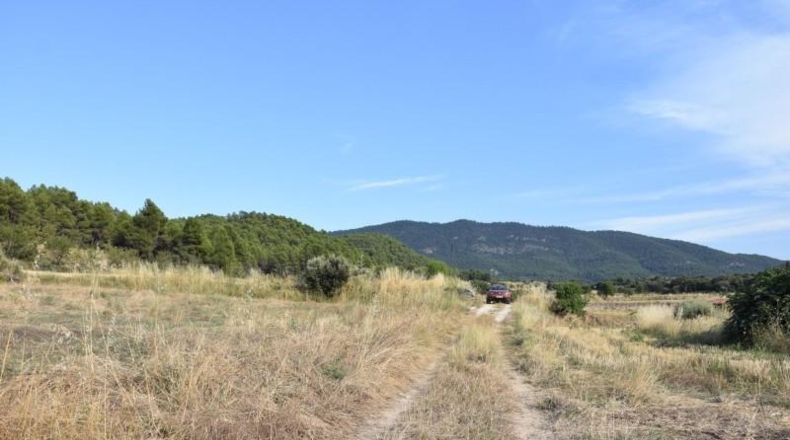 Teruel - Fuentespalda - 11463m2