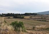 Chalet independiente con terreno en venta en la España, Fuentespalda, ref: TR337066 foto