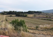 Chalet independiente con terreno en venta en la España, Fuentespalda, ref: TR337066 foto