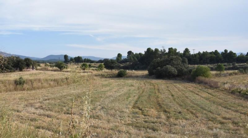 Teruel - Fuentespalda - 11463m2
