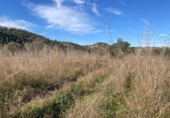 Detached villa with land for sale on España, Caseres, ref: TR399022 photo