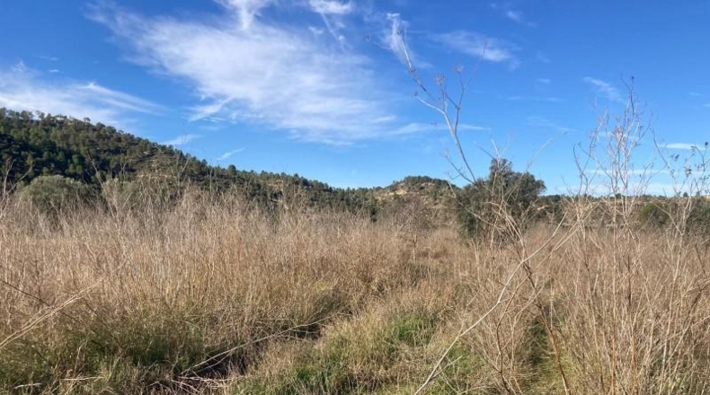 Caceres - Cáceres - 4869m2