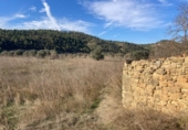 Detached villa with land for sale on España, Caseres, ref: TR399022 photo