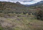 Chalet independiente con terreno en venta en la España, Horta de Sant Joan, ref: TR303451 foto