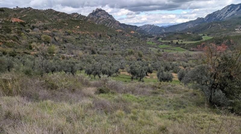 Tarragona - Horta de Sant Joan - 1170m2