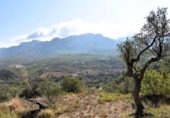 Chalet independiente con terreno en venta en la España, Horta de Sant Joan, ref: TR303451 foto