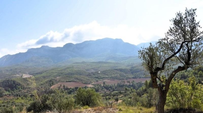 Tarragona - Horta de Sant Joan - 1170m2