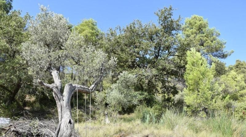Tarragona - Horta de Sant Joan - 1170m2