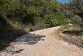 Foto 15