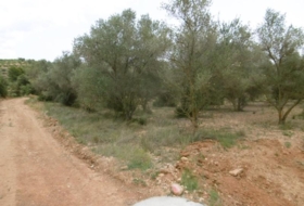 la Vall d'Alba 7456&nbsp;m²
