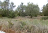 Terreno no urbanizable en venta en la España, Vall d'Alba, ref: TR303072 foto