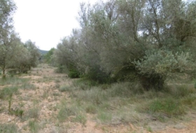 la Vall d'Alba 7456&nbsp;m²