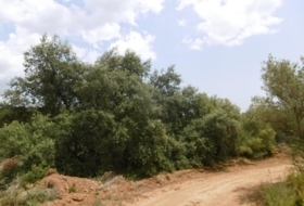 la Vall d'Alba 7456&nbsp;m²