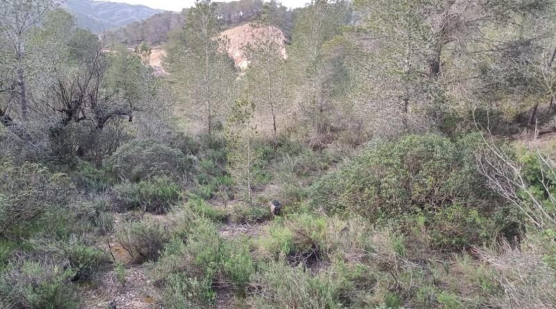 Tarragona - Móra d'Ebre - 31073m2