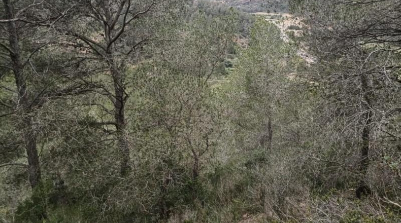 Tarragona - Móra d'Ebre - 31073m2