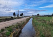 Terreny no urbanitzable en venda a la España, Amposta, ref.: TR312670 foto