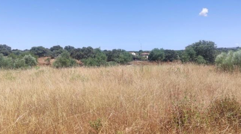 Cáceres - Arroyo de la Luz - 2800m2