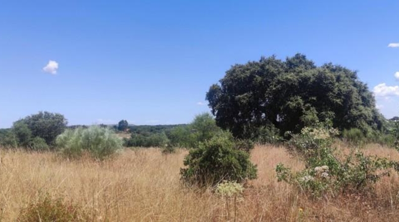 Cáceres - Arroyo de la Luz - 2800m2