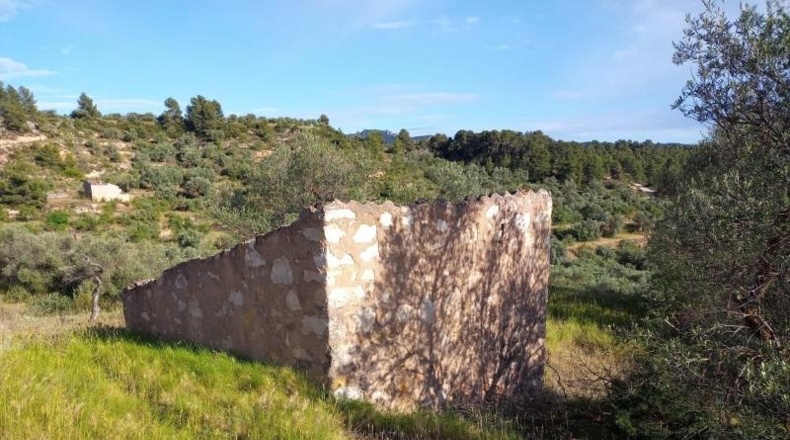 Tarragona - la Torre de l'Espanyol - 19516m2