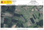 Non-developable land for sale on España, Bembibre, ref: TR287786 photo