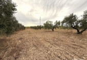 Terreny no urbanitzable en venda a la España, Bollullos Par del Condado, ref.: TR341606 foto
