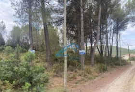 la Joncosa del Montmell 1019&nbsp;m²