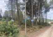 Land suitable for development for sale on España, la Joncosa del Montmell, ref: TR304188 photo