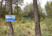 Land suitable for development for sale on España, la Joncosa del Montmell, ref: TR304188 photo
