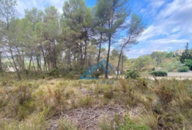 la Joncosa del Montmell 1019&nbsp;m²