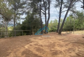 la Joncosa del Montmell 1019&nbsp;m²