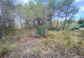 Land suitable for development for sale on España, la Joncosa del Montmell, ref: TR304188 photo