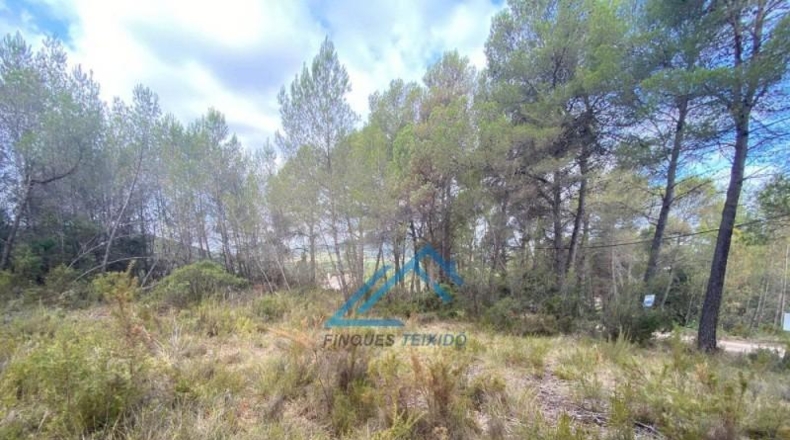 Tarragona - la Joncosa del Montmell - 1019m2