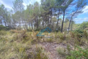 la Joncosa del Montmell 1019&nbsp;m²
