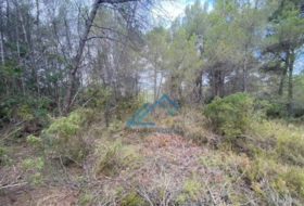 la Joncosa del Montmell 1019&nbsp;m²