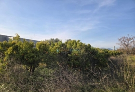 Rafelcofer 994&nbsp;m²